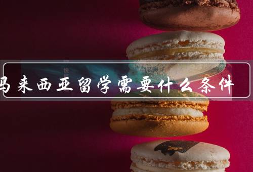 去马来西亚留学需要什么条件（学历背景、语言要求、资金担保）