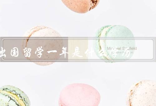 出国留学一年是什么学历，学历经历／语言能力提升／其他收获