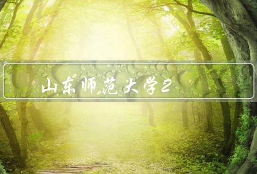 山东师范大学2+2留学项目，背景、特点、学生影响