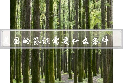 去美国的签证需要什么条件，有效护照、签证申请表、签证费
