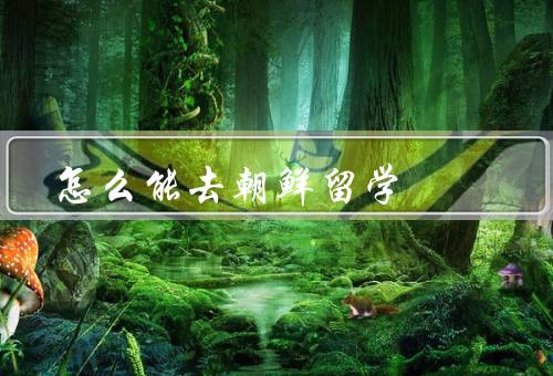 怎么能去朝鲜留学，准备工作、选择学校和专业、申请和安排