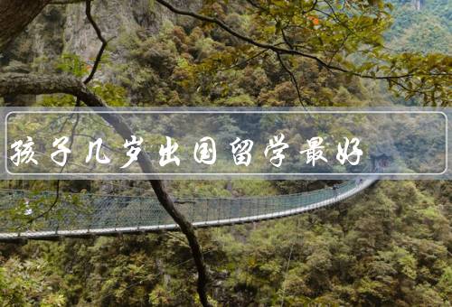 孩子几岁出国留学最好，获取外语优势、塑造国际视野