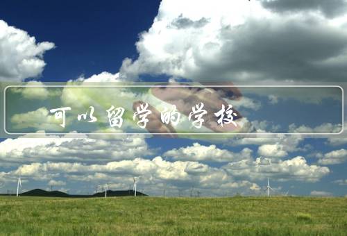 专科可以留学的学校（北京大学、复旦大学、上海交通大学）