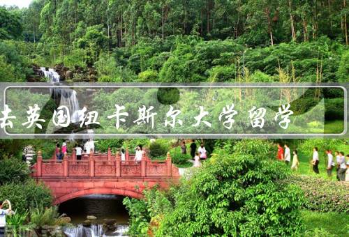 去英国纽卡斯尔大学留学