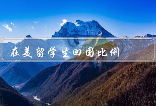 在美留学生回国比例，就业机会／薪资待遇／个人发展