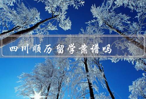 四川顺历留学靠谱吗，专业团队／合作院校／服务质量