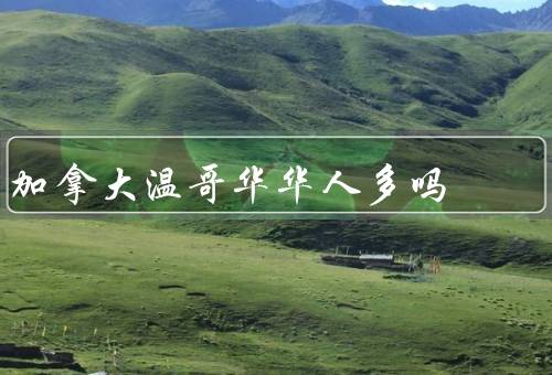 加拿大温哥华华人多吗（移民的背景／华人社区的发展）