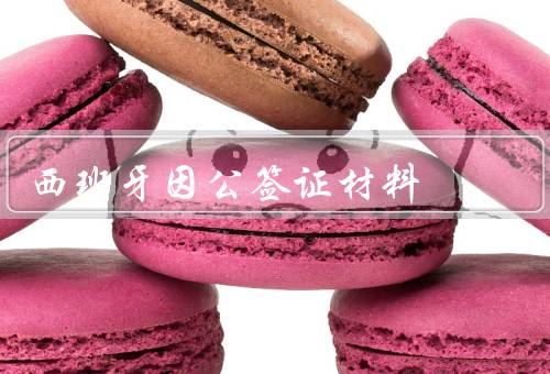 西班牙因公签证材料，申请表格／护照／照片