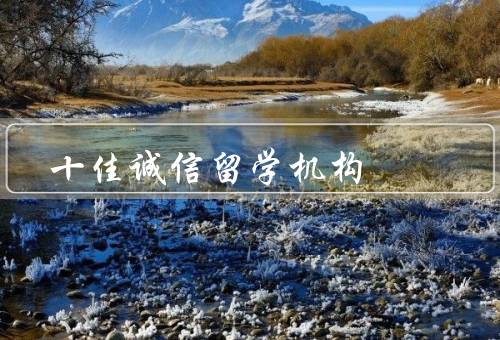 十佳诚信留学机构，超越、猫、家