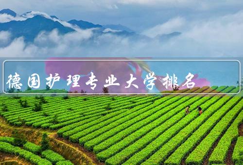 德国护理专业大学排名，大学排名、大学的优势、如何选择的大学
