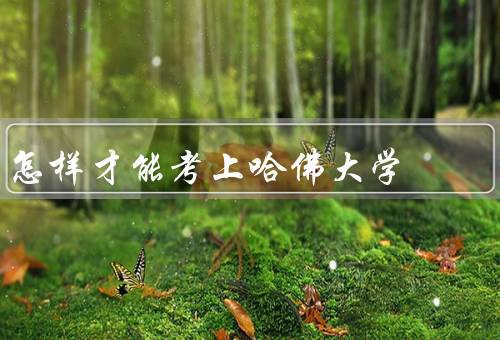 怎样才能考上哈佛大学（学术成绩／全面发展／独特个性）