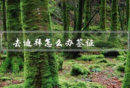 去迪拜怎么办签证