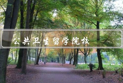 公共卫生留学院校，哈佛大学、伦敦大学学院、墨尔本大学
