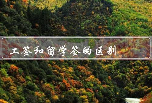 工签和留学签的区别（申请条件、签证类型、停留期限）
