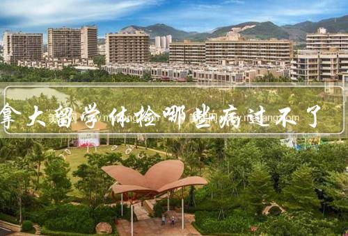 加拿大留学体检哪些病过不了，病毒性肝炎、结核病、艾滋病