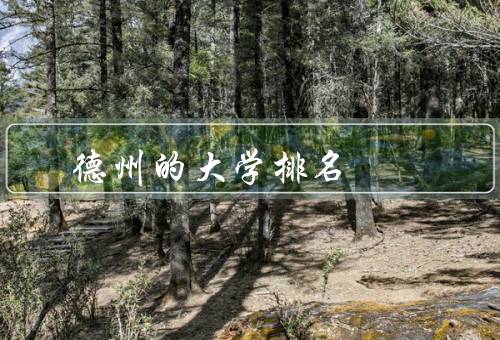 德州的专科大学排名（大学、农工大学、理工大学）