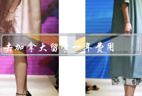 去加拿大留学一年费用（构成／经济实力考量／节省）