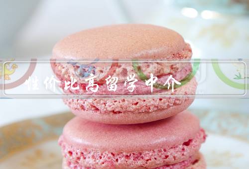 性价比高留学中介（专业程度／口碑和评价／服务内容和费用）