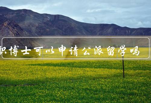 在职博士可以申请公派留学吗（优势／公派留学政策的变化）