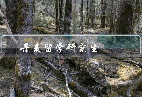 丹麦留学研究生（学习环境／教育成本／就业前景）