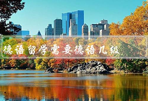 德语留学需要德语几级，德语基础水平、德国大学的要求、专业要求