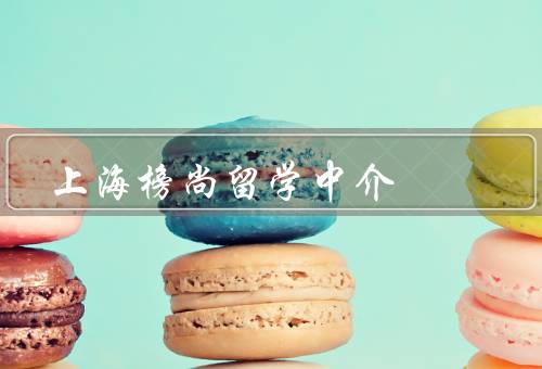 上海榜尚留学中介，专业的团队、个性化的服务、丰富的资源