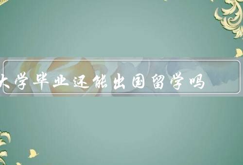 大学毕业还能出国留学吗，就业压力／经济压力／个人发展