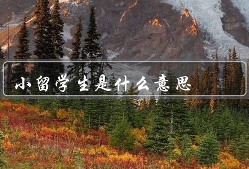 小留学生是什么意思（经历、成长与发展、挑战和机遇）