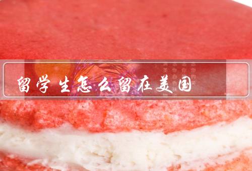 留学生怎么留在美国，了解美国签证政策／保持良好学业表现