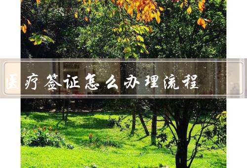 香港医疗签证怎么办理流程（材料准备／在线申请／面试及审核）