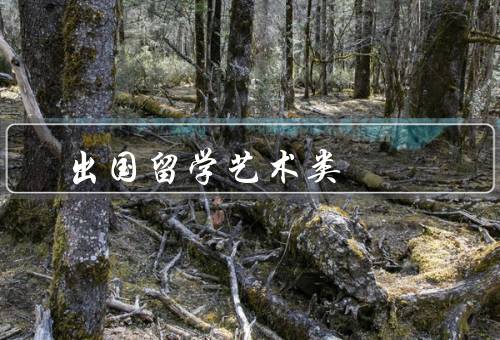 出国留学艺术类（意义、选择院校的依据、后的发展方向）