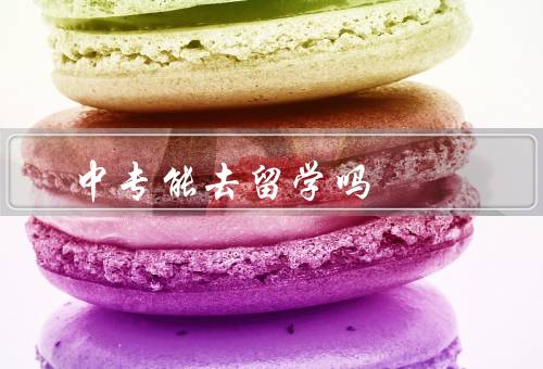 中专能去俄罗斯留学吗，能否去／优势／挑战与建议