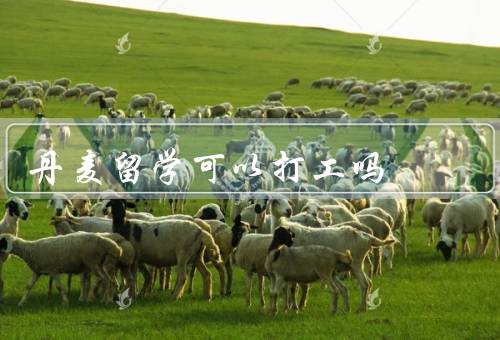 丹麦留学可以打工吗，时间和条件、可以从事的工作类型、对的影响
