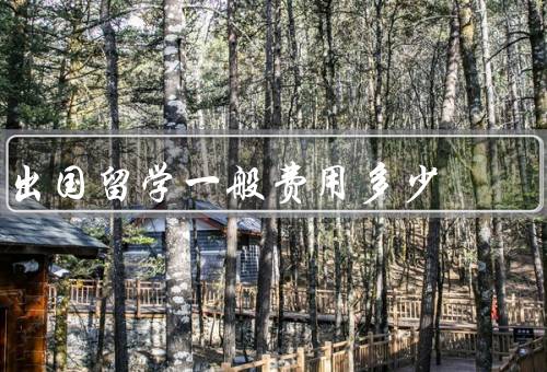 出国留学一般费用多少，留学费用的组成／不同国家的留学费用差异