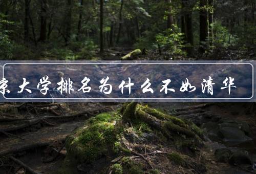东京大学排名为什么不如清华，学术水平／科研实力／国际影响力