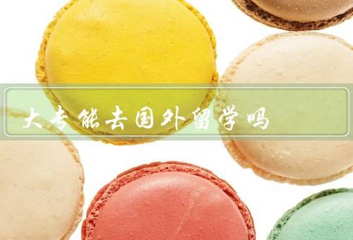 大专能去国外留学吗（留学机会、留学的挑战、发展留学的建议）
