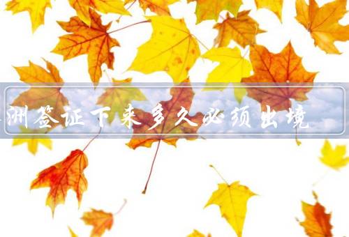 澳洲签证下来多久必须出境，有效期、停留期限、延期
