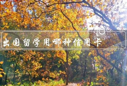 出国留学用哪种信用卡，信用卡类型、手续费与汇率、安全性与服务