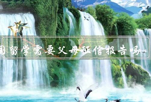 出国留学需要父母征信报告吗，1. 出国留学的背景