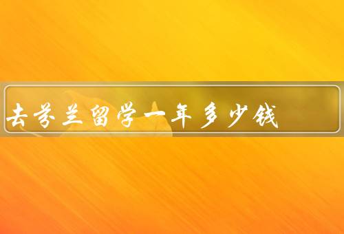 去芬兰留学一年多少钱（学费、生活费、住宿费）