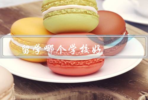 俄罗斯留学哪个学校好，国立大学／圣彼得堡国立大学／物理技术学院