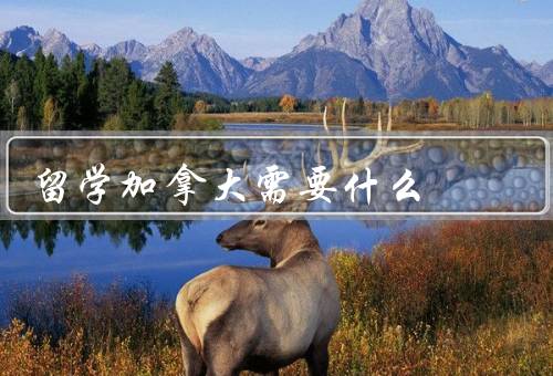 留学加拿大需要什么（选择合适的学校、申请学生签证）