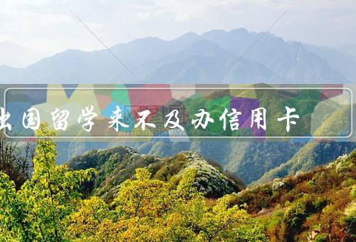 出国留学来不及办信用卡，购买预付卡、使用借记卡、寻求亲友帮助