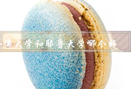 哈佛大学和耶鲁大学哪个好，师资力量、学科专业、校园文化