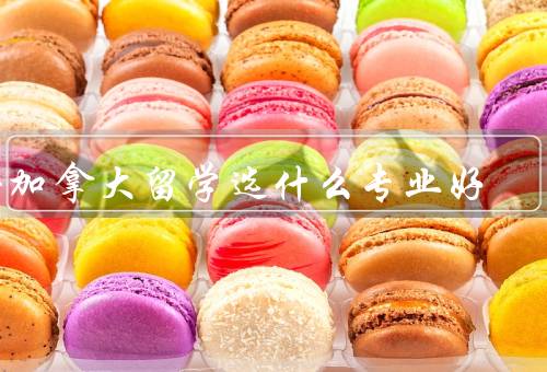 去加拿大留学选什么专业好，专业需求／个人兴趣／就业前景