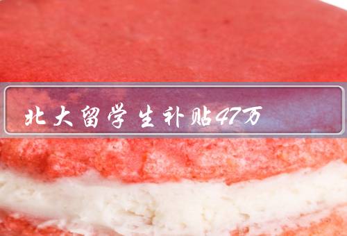 北大留学生补贴47万，留学生背景、具体内容、意义和影响