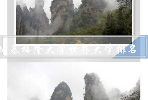 卡耐基梅隆大学世界大学排名（世界大学排名、科研和创新成就）