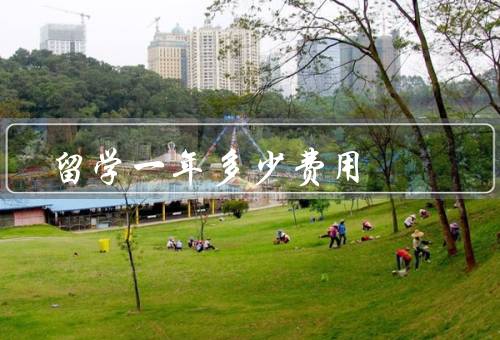 留学一年多少费用