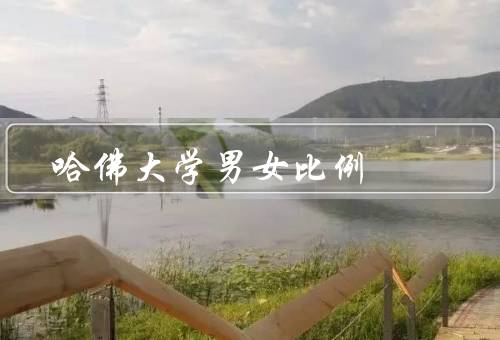 哈佛大学男女比例（背景、影响、促进男女平衡措施）