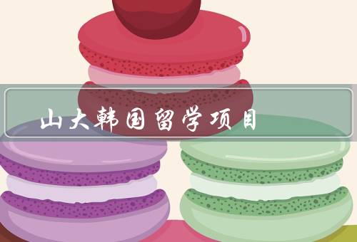 山大韩国留学项目（背景、内容、收益）